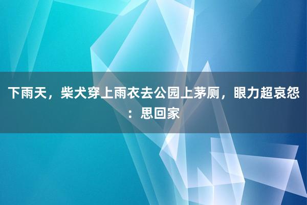 下雨天，柴犬穿上雨衣去公园上茅厕，眼力超哀怨：思回家