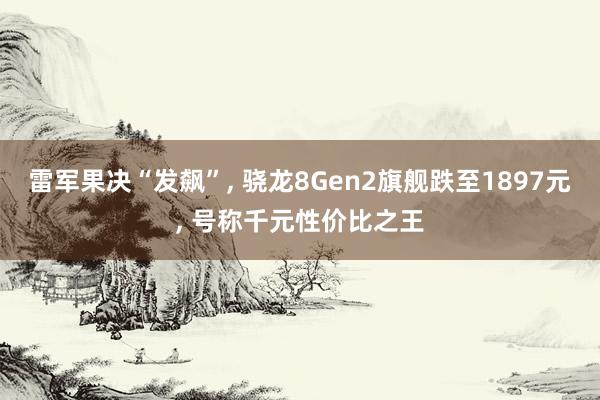 雷军果决“发飙”, 骁龙8Gen2旗舰跌至1897元, 号称千元性价比之王