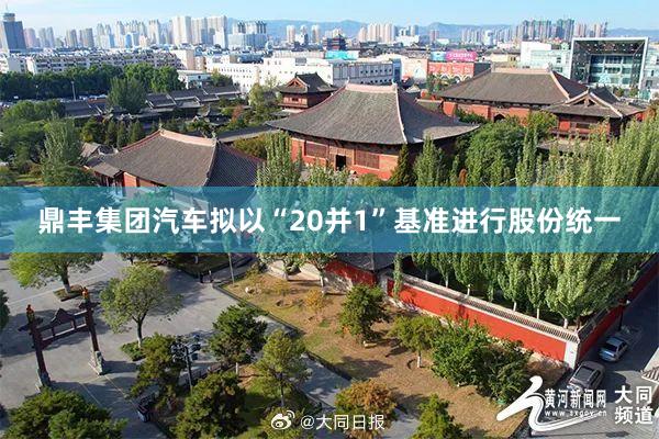 鼎丰集团汽车拟以“20并1”基准进行股份统一