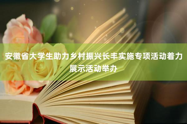 安徽省大学生助力乡村振兴长丰实施专项活动着力展示活动举办