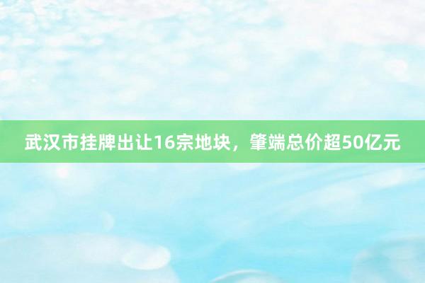 武汉市挂牌出让16宗地块，肇端总价超50亿元