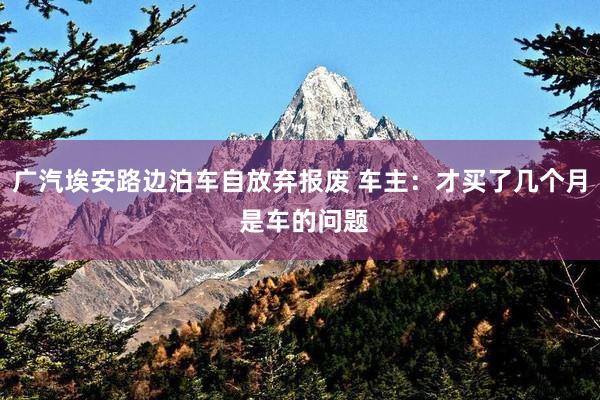 广汽埃安路边泊车自放弃报废 车主：才买了几个月 是车的问题